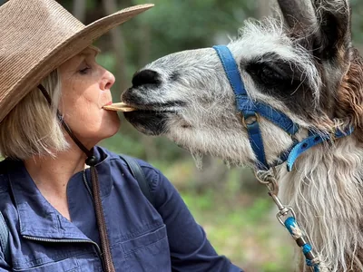 Hiking with the llamas