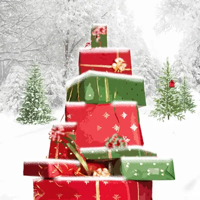 Packages in the snow