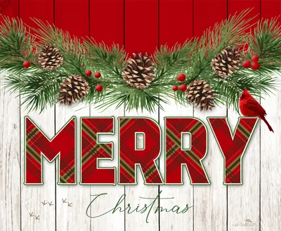 Merry Christmas